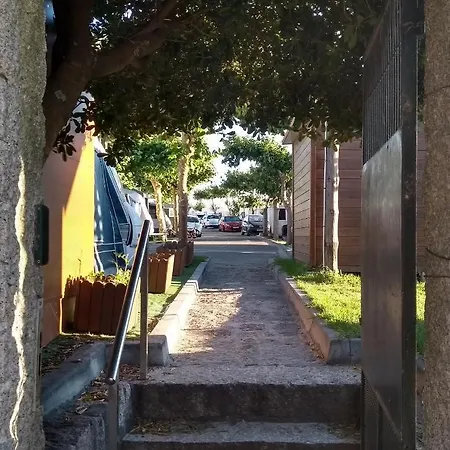 Paxarinas 2*