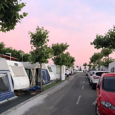 Paxarinas Kamp alanı