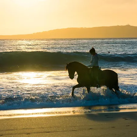 Paxarinas Campingplatz 2*