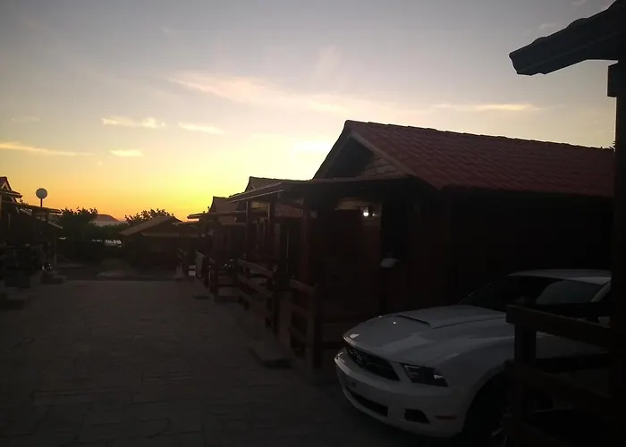 Paxarinas 2*