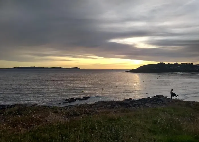 Paxarinas Kamp alanı 2*