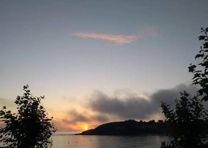 Paxarinas Portonovo
