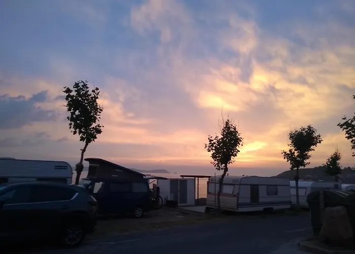 Paxarinas 2*